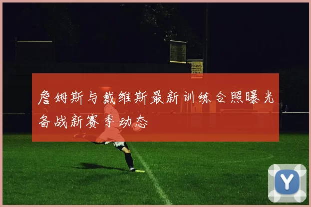 詹姆斯与戴维斯最新训练合照曝光备战新赛季动态