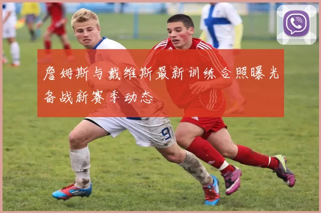 詹姆斯与戴维斯最新训练合照曝光备战新赛季动态