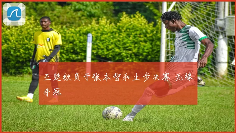 王楚钦负于张本智和止步决赛 无缘夺冠