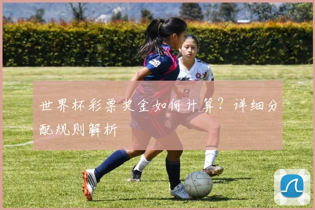 世界杯彩票奖金如何计算？详细分配规则解析