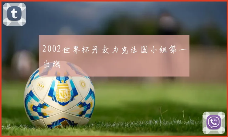 2002世界杯丹麦力克法国小组第一出线