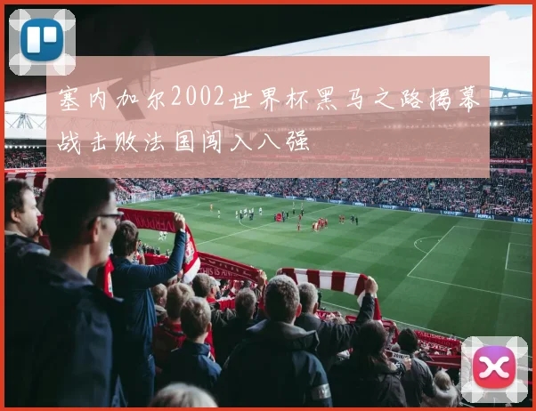 塞内加尔2002世界杯黑马之路揭幕战击败法国闯入八强