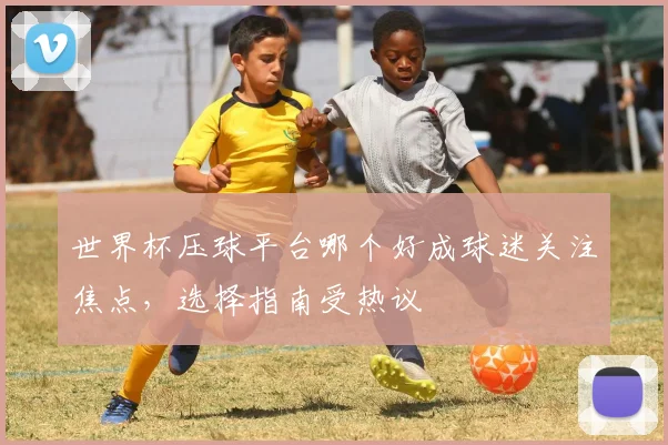 世界杯压球平台哪个好成球迷关注焦点，选择指南受热议