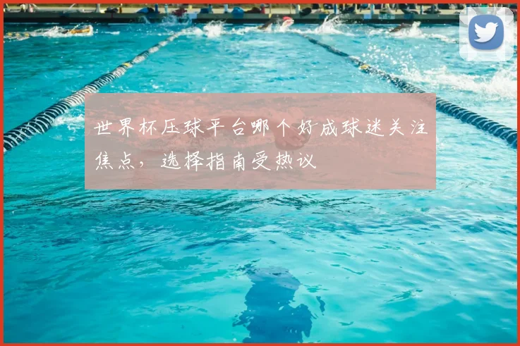 世界杯压球平台哪个好成球迷关注焦点，选择指南受热议