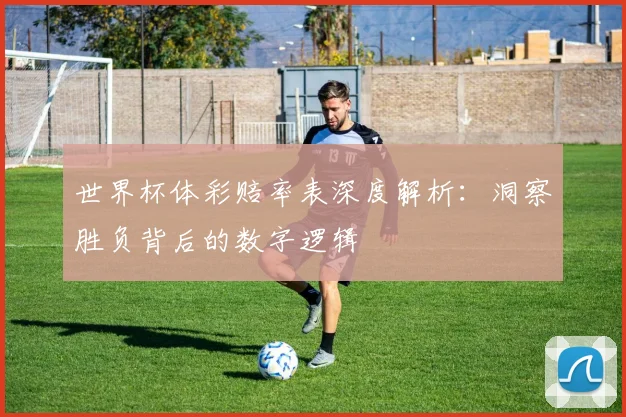 世界杯体彩赔率表深度解析：洞察胜负背后的数字逻辑
