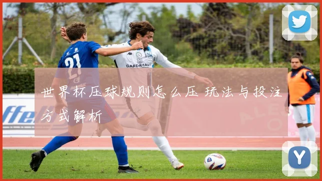 世界杯压球规则怎么压 玩法与投注方式解析