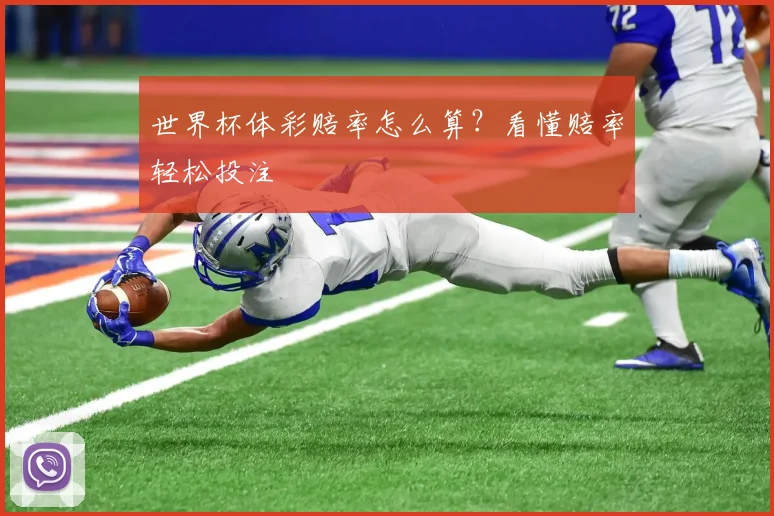 世界杯体彩赔率怎么算?看懂赔率轻松投注