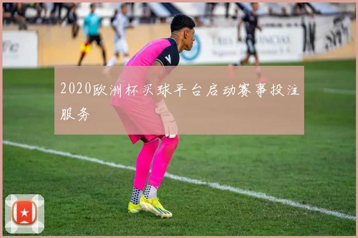 2020欧洲杯买球平台启动赛事投注服务