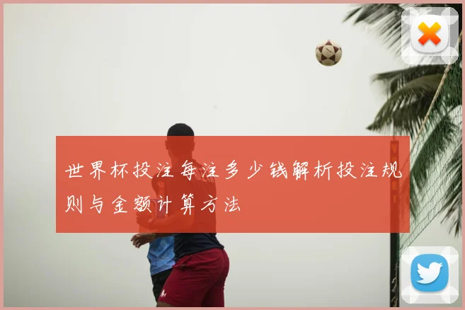 世界杯投注每注多少钱解析投注规则与金额计算方法