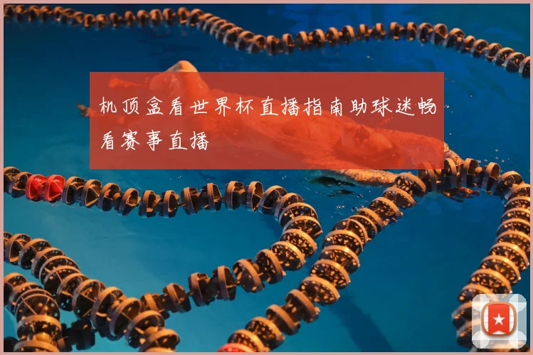 机顶盒看世界杯直播指南助球迷畅看赛事直播