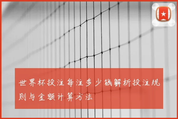 世界杯投注每注多少钱解析投注规则与金额计算方法