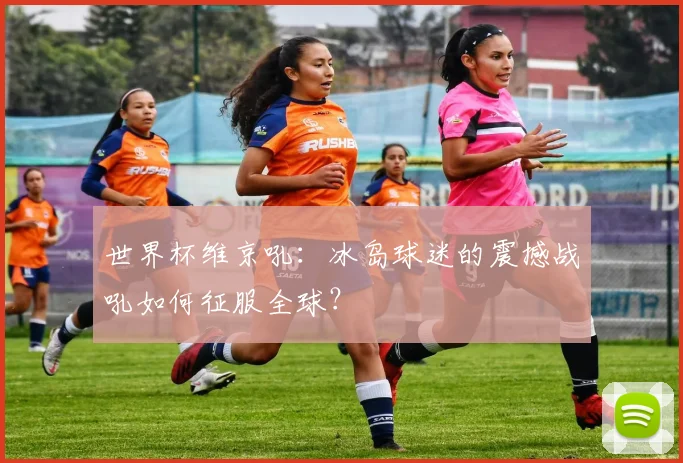 世界杯维京吼:冰岛球迷的震撼战吼如何征服全球?