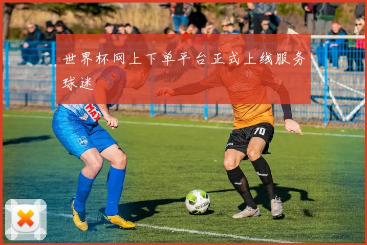 世界杯网上下单平台正式上线服务球迷