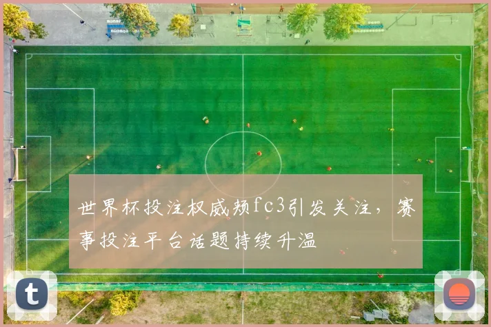 世界杯投注权威颊fc3引发关注，赛事投注平台话题持续升温