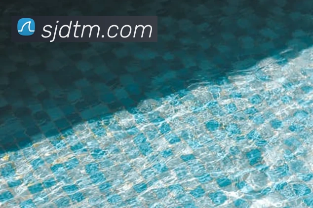 詹姆斯与戴维斯最新训练合照曝光备战新赛季动态